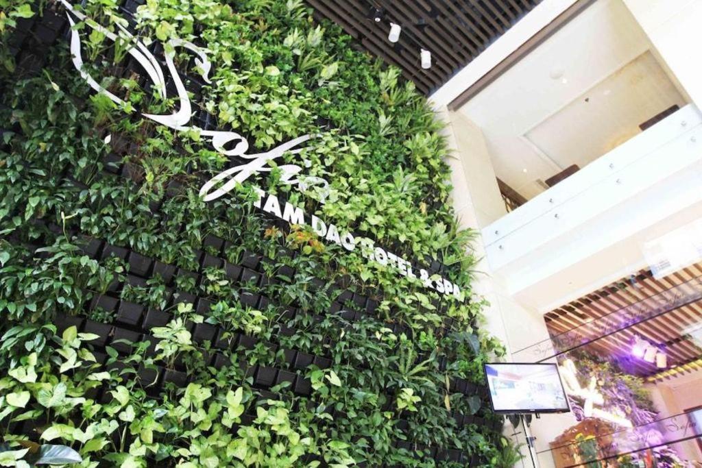 Thang Loi Tam Dao Hotel Экстерьер фото